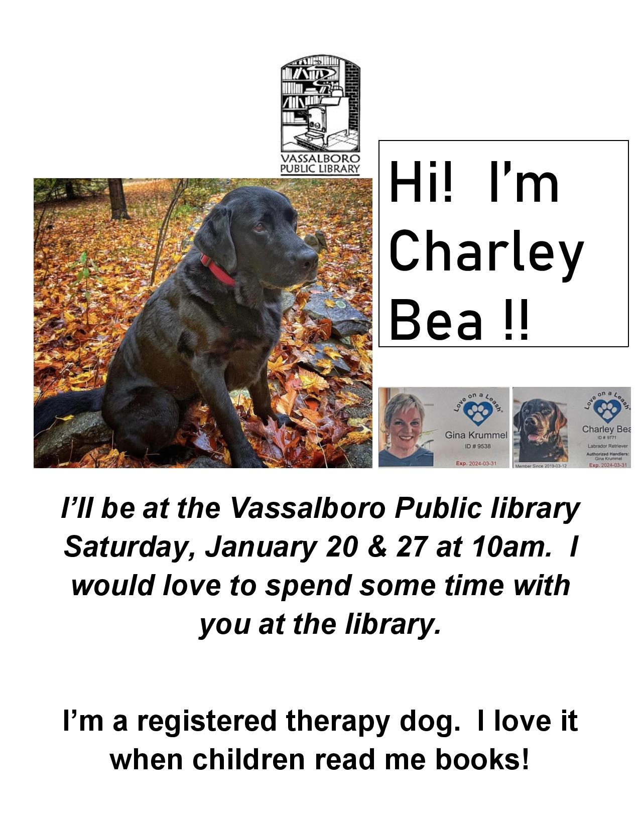 Charley Bea Therapy Dog • Vassalboro Public Library