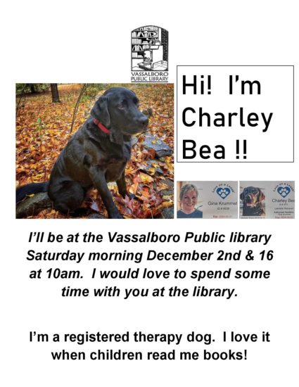 Charley Bea. Therapy Dog